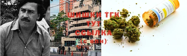 ешки Алексин
