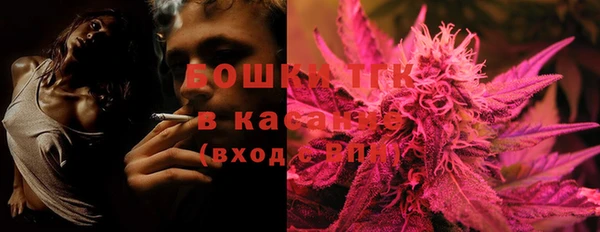 шишки Абинск
