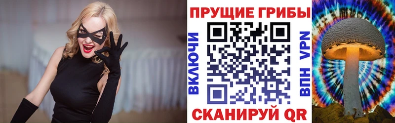 Галлюциногенные грибы Psilocybine cubensis  omg онион  Бакал 
